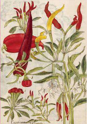 Chili Peppers & Shiso Leaves Blank Hardcover Journal(English, Hardcover, unknown)