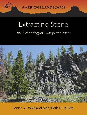 Extracting Stone(English, Paperback, Dowd Anne S)