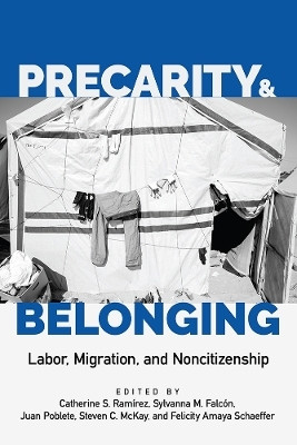 Precarity and Belonging(English, Hardcover, unknown)