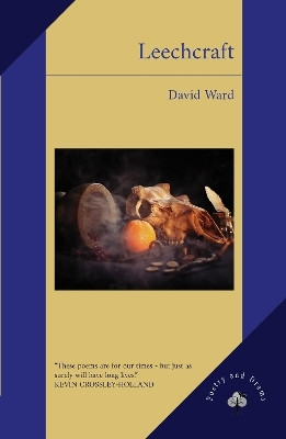Leechcraft(English, Paperback, Ward David)