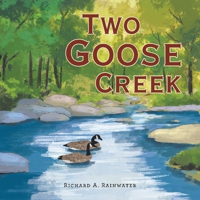 Two Goose Creek(English, Paperback, Rainwater Richard a)