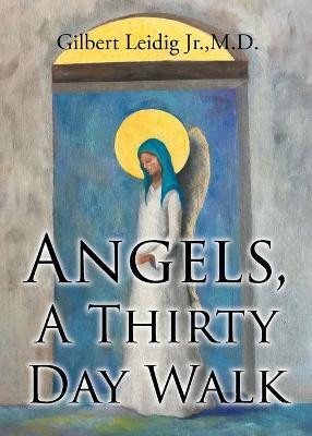 Angels, A Thirty Day Walk(English, Paperback, unknown)