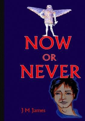 Now or Never(English, Paperback, James Judi M)