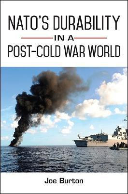 NATO's Durability in a Post-Cold War World(English, Paperback, Burton Joe)