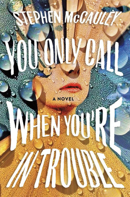 You Only Call When You’re in Trouble:A Novel(Paperback, Stephen McCauley)