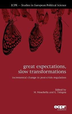 Great Expectations, Slow Transformations(English, Hardcover, unknown)