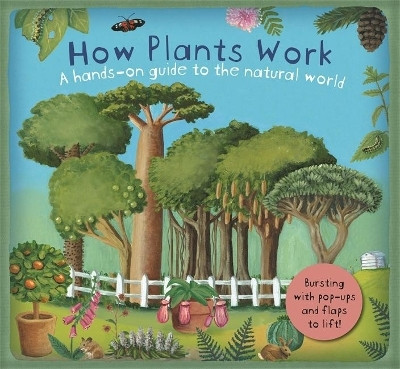How Plants Work(English, Hardcover, Dorion Christiane)