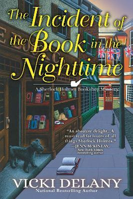 The Incident of the Book in the Nighttime(English, Paperback, Delany Vicki)