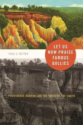 Let Us Now Praise Famous Gullies(English, Paperback, Sutter Paul S.)