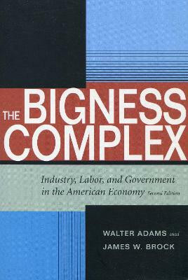The Bigness Complex(English, Paperback, Adams Walter)