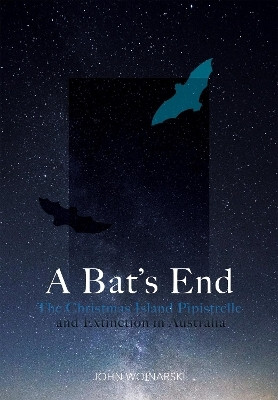 A Bat's End(English, Paperback, Woinarski John)