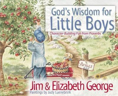 God's Wisdom for Little Boys(English, Hardcover, George Jim)