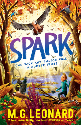 Spark(English, Paperback, Leonard M. G.)