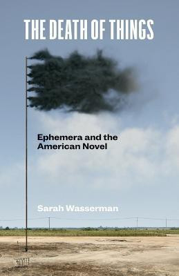 The Death of Things(English, Paperback, Wasserman Sarah)