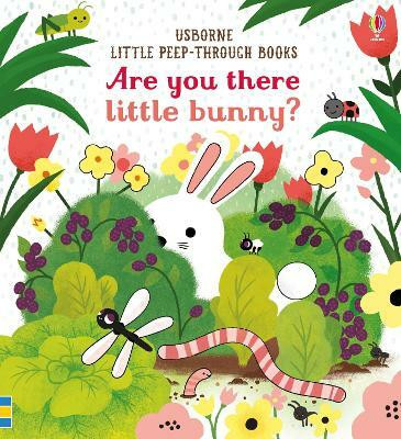 Are you there little Bunny(English, Board book, Taplin Sam)
