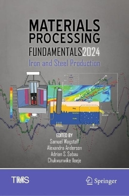 Materials Processing Fundamentals 2024(English, Hardcover, unknown)