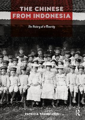 The Chinese from Indonesia(English, Paperback, Tjiook-Liem Patricia)