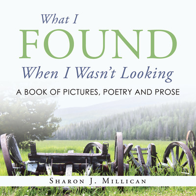 What I Found When I Wasn't Looking(English, Paperback, Millican Sharon J)