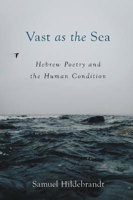 Vast as the Sea(English, Paperback, Hildebrandt Samuel)