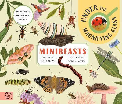 Minibeasts: Under the Magnifying Glass(English, Hardcover, Neave Rosie)