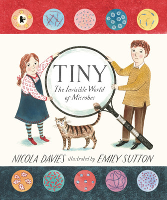 Tiny(English, Paperback, Davies Nicola)
