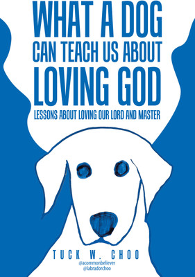 What a Dog Can Teach Us about Loving God(English, Hardcover, Choo Tuck W)