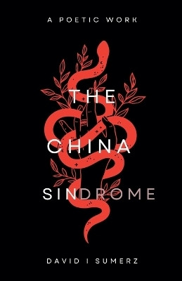 The China Sindrome(English, Paperback, Sumerz David J)