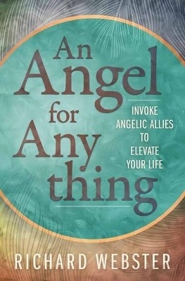 Angel for Anything, An(English, Paperback, Webster Richard)