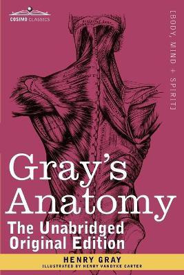 Gray's Anatomy(English, Paperback, Gray Henry M.D., F.R.S.)