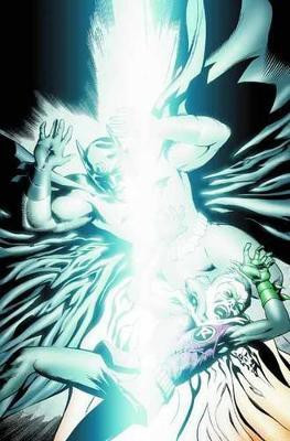 Batman & Robin: Dark Knight Vs. White Knight(English, Hardcover, Various)