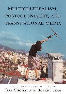 Multiculturalism, Postcoloniality, and Transnational Media(English, Paperback, unknown)