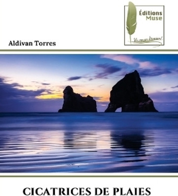 Cicatrices de Plaies(French, Paperback, Torres Aldivan)