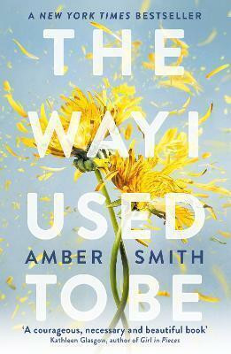 The Way I Used to Be(English, Paperback, Smith Amber)