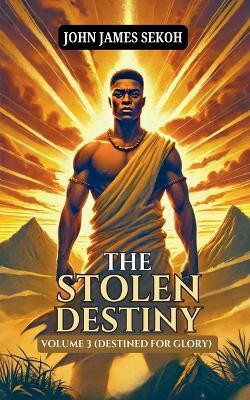 The Stolen Destiny Volume 3 (Destined for Glory)(English, Paperback, Sekoh John James)