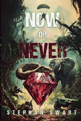 Now or Never(English, Paperback, Swart Stephanus)