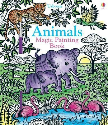 Animals Magic Painting Book(English, Paperback, Taplin Sam)