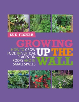 Growing Up the Wall(English, Paperback, Fisher Sue)