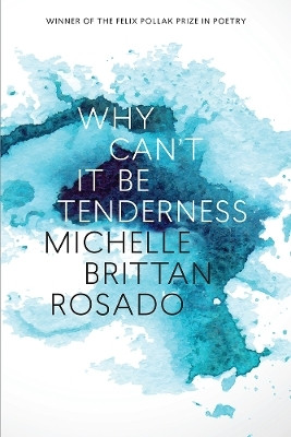 Why Can't It Be Tenderness(English, Paperback, Rosado Michelle Brittan)