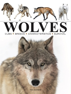 Wolves(English, Paperback, Jackson Tom)