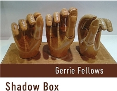 Shadow Box(English, Paperback, Fellows Gerrie)