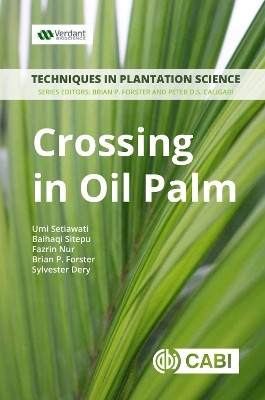 Crossing in Oil Palm(English, Paperback, Setiawati Umi)