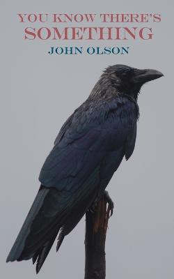 You Know There's Something(English, Paperback, Olson John)