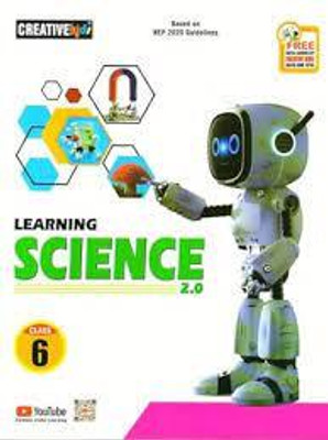 LEARNING SCIENCE 2.0 CLASS -6(Paperback, DHIREN M. DOSHI)