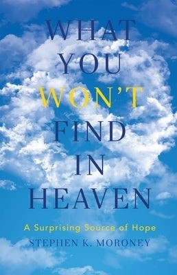 What You WON'T Find in Heaven(English, Paperback, Moroney Stephen K.)