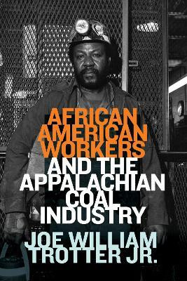 African American Workers and the Appalachian Coal Industry(English, Paperback, Trotter Joe William)