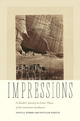 First Impressions(English, Paperback, Weber David J.)