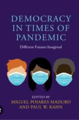 Democracy in Times of Pandemic(English, Electronic book text, unknown)