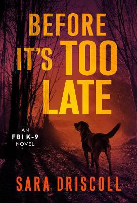 Before It's Too Late(English, Paperback, Driscoll Sara)