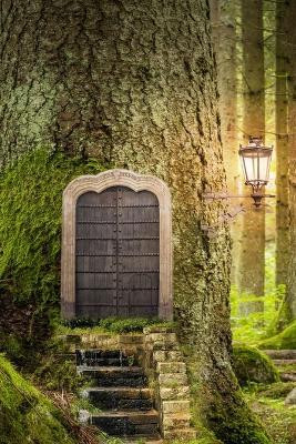 Forest Door, Discreet Internet Password Logbook, Large Print(English, Paperback, Amatae)