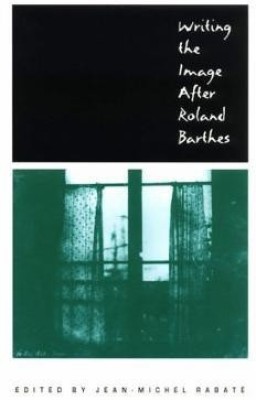 Writing the Image After Roland Barthes(English, Paperback, unknown)